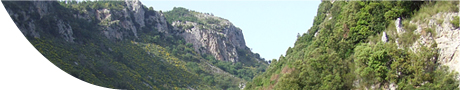 MobItaly